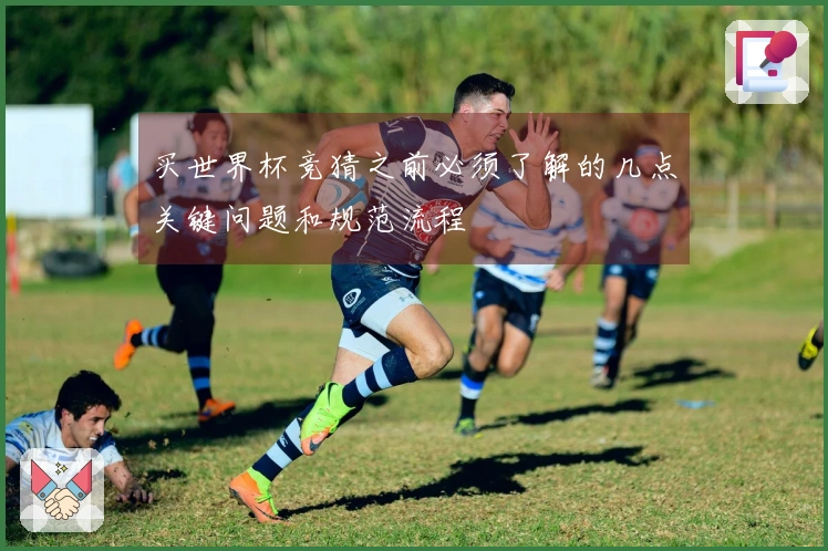 买世界杯竞猜之前必须了解的几点关键问题和规范流程