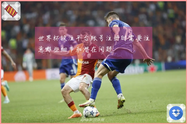 世界杯投注平台账号注册时需要注意哪些细节和潜在问题
