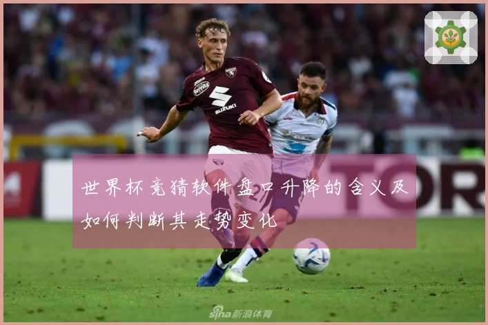 世界杯竞猜软件盘口升降的含义及如何判断其走势变化