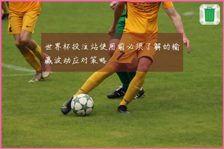 世界杯投注站使用前必须了解的输赢波动应对策略