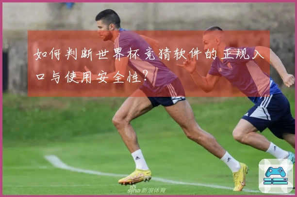 如何判断世界杯竞猜软件的正规入口与使用安全性？