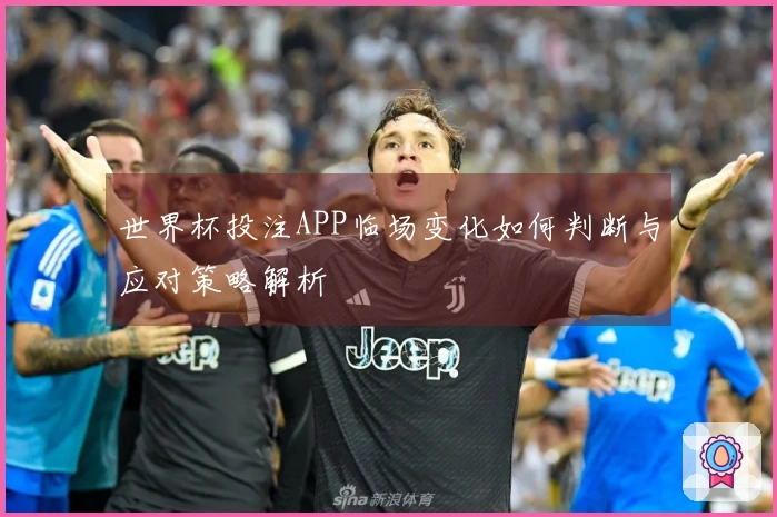 世界杯投注APP临场变化如何判断与应对策略解析