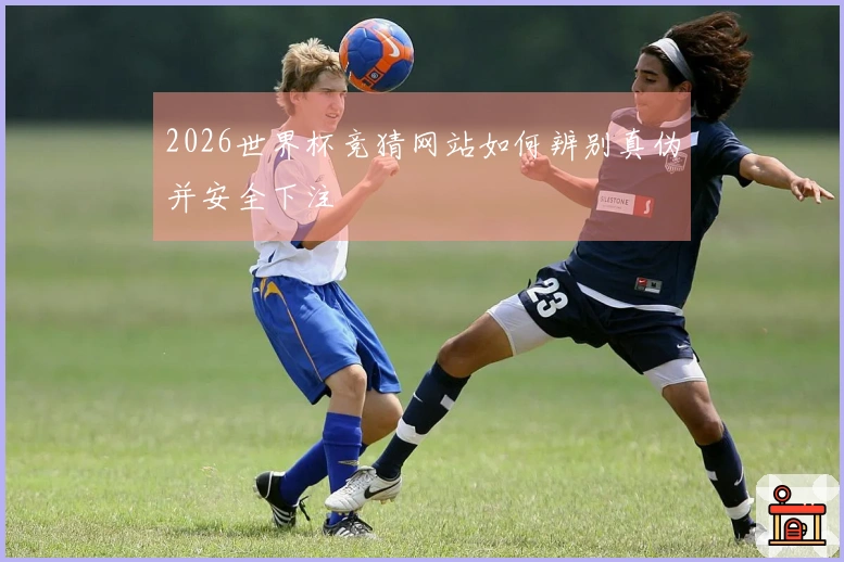 2026世界杯竞猜网站如何辨别真伪并安全下注