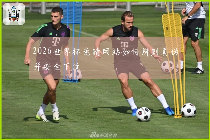 2026世界杯竞猜网站如何辨别真伪并安全下注