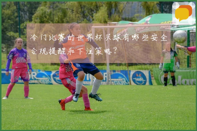 冷门比赛的世界杯买球有哪些安全合规提醒和下注策略？