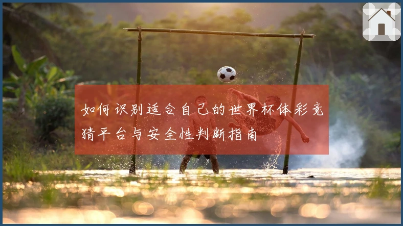 如何识别适合自己的世界杯体彩竞猜平台与安全性判断指南
