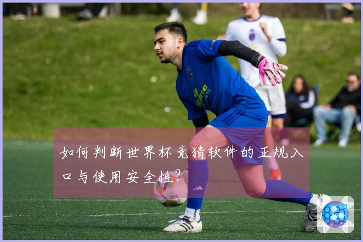 如何判断世界杯竞猜软件的正规入口与使用安全性？