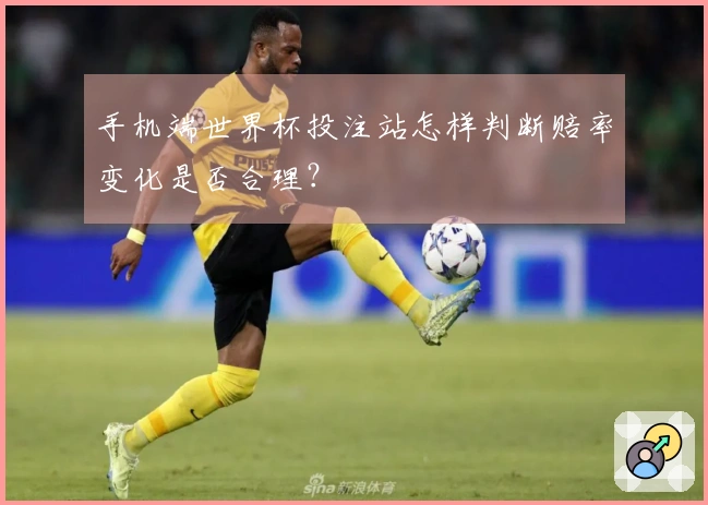 手机端世界杯投注站怎样判断赔率变化是否合理？