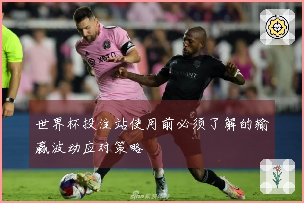 世界杯投注站使用前必须了解的输赢波动应对策略
