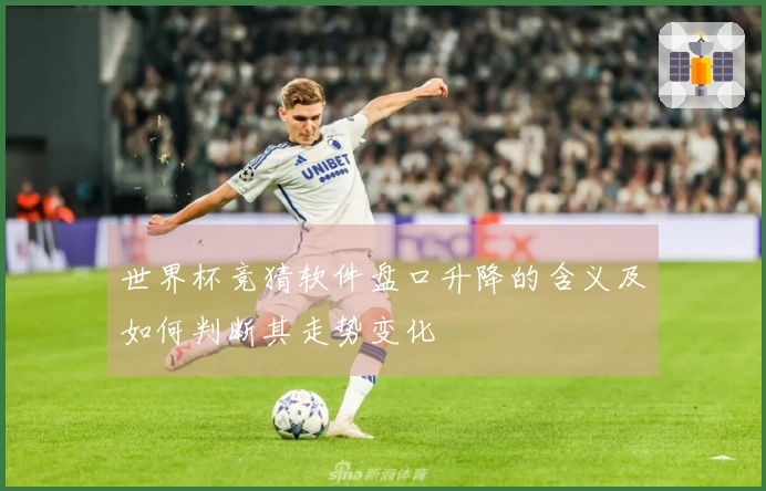 世界杯竞猜软件盘口升降的含义及如何判断其走势变化