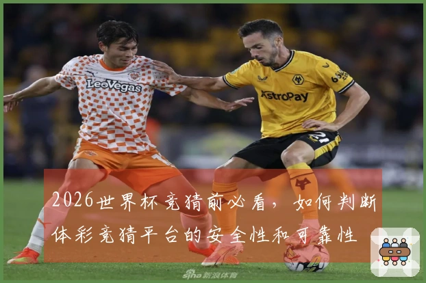 2026世界杯竞猜前必看，如何判断体彩竞猜平台的安全性和可靠性