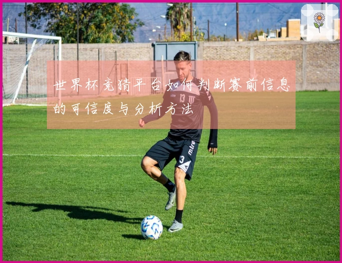 世界杯竞猜平台如何判断赛前信息的可信度与分析方法