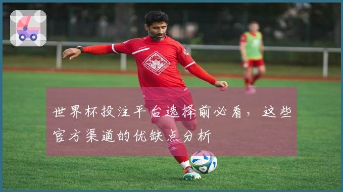 世界杯投注平台选择前必看，这些官方渠道的优缺点分析