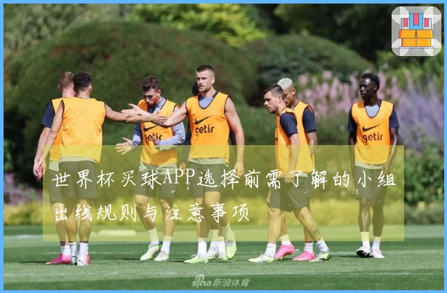 世界杯买球APP选择前需了解的小组出线规则与注意事项