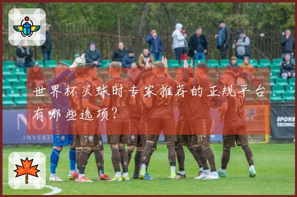 世界杯买球时专家推荐的正规平台有哪些选项？