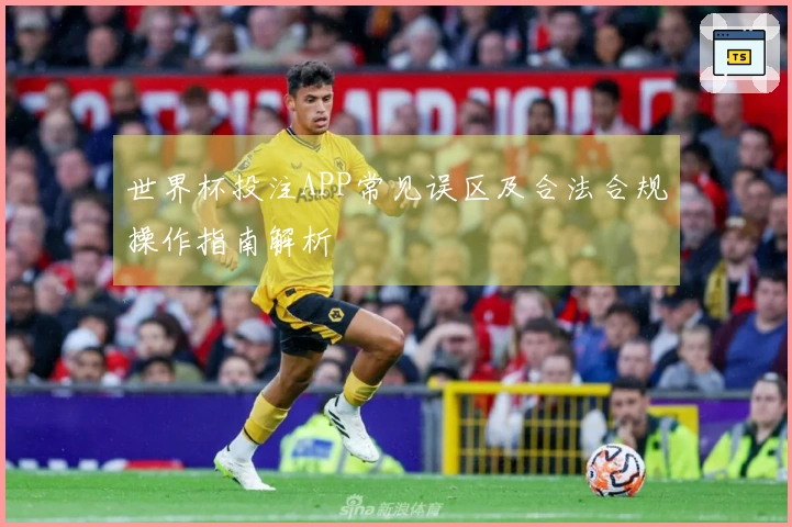 世界杯投注APP常见误区及合法合规操作指南解析