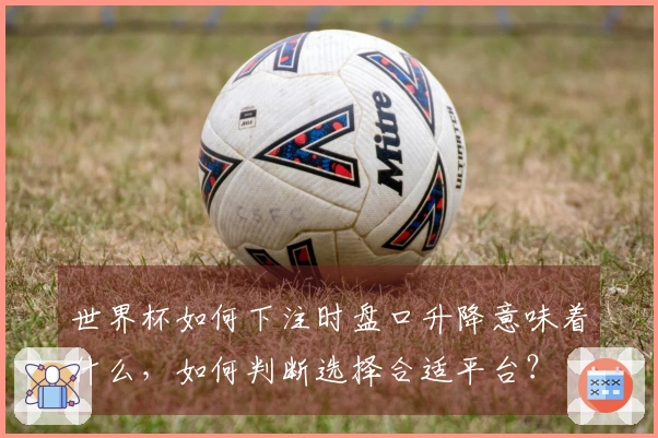 世界杯如何下注时盘口升降意味着什么，如何判断选择合适平台？