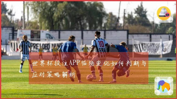 世界杯投注APP临场变化如何判断与应对策略解析