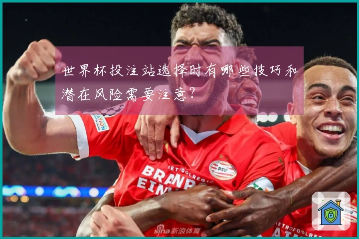 世界杯投注站选择时有哪些技巧和潜在风险需要注意？