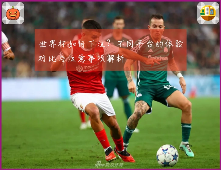 世界杯如何下注？不同平台的体验对比与注意事项解析