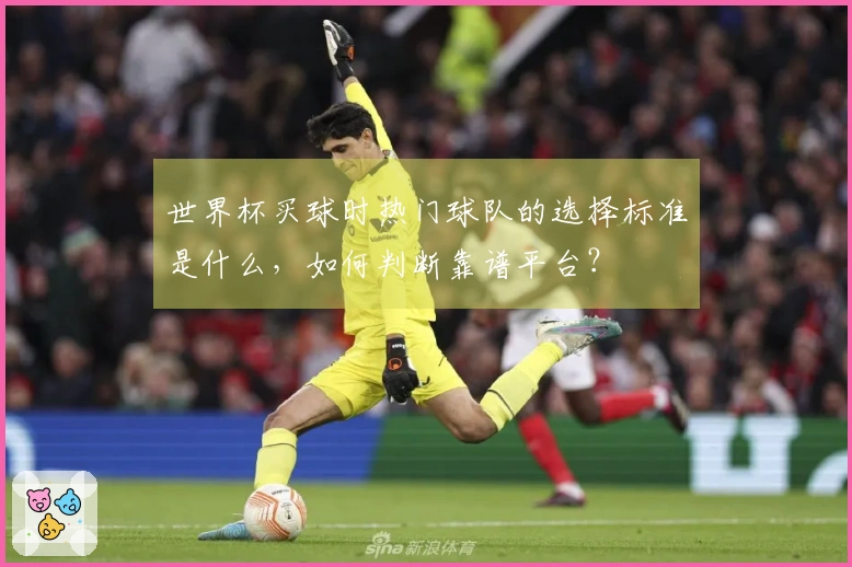 世界杯买球时热门球队的选择标准是什么，如何判断靠谱平台？