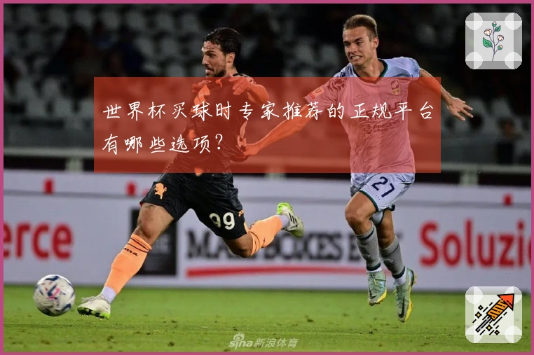 世界杯买球时专家推荐的正规平台有哪些选项？
